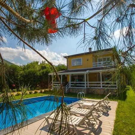 The Doctor's House Villa